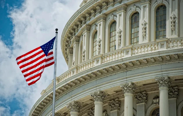 Government & Public Sector